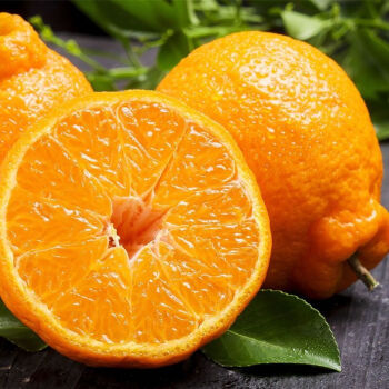丑橘不知火橘子